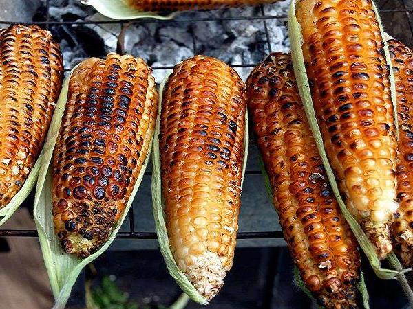 Zakaj je dobro jesti koruzo